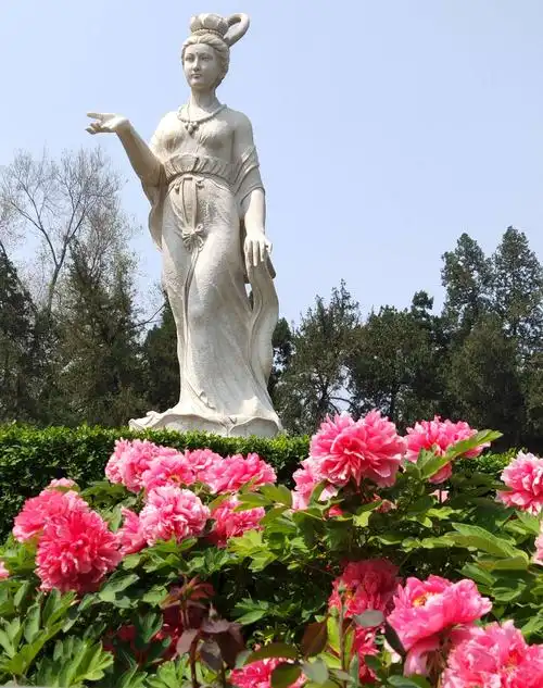 洛阳牡丹甲天下