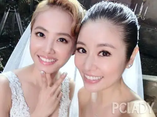 林心如vs蔡依林