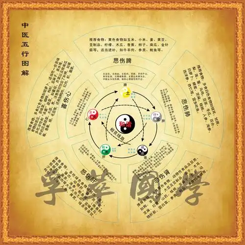 五行中医装饰书房玄关养生生克国学太极八卦图现代装饰画
