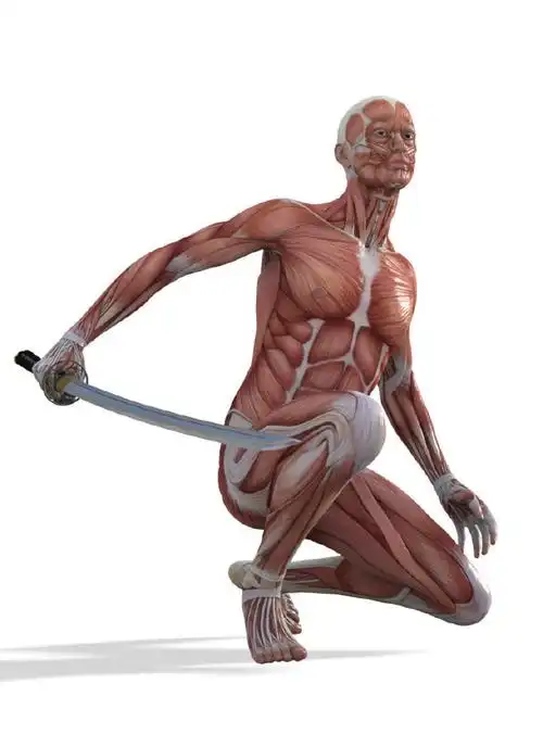 持刀姿势人体肌肉参考,九条 pid=792283#人体动态##绘画参考