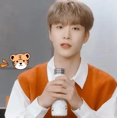 范丞丞祝大家虎年大吉