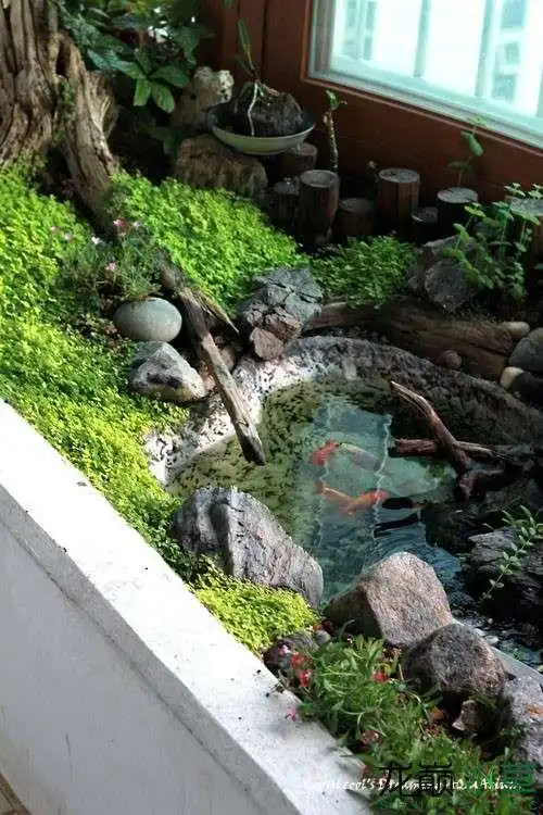 高层露台改造的绝美水陆缸_水景堂