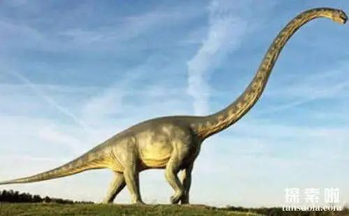 在世界上的大型恐龙中,不乏一些体型超长,体重超大的恐龙,其中就包括