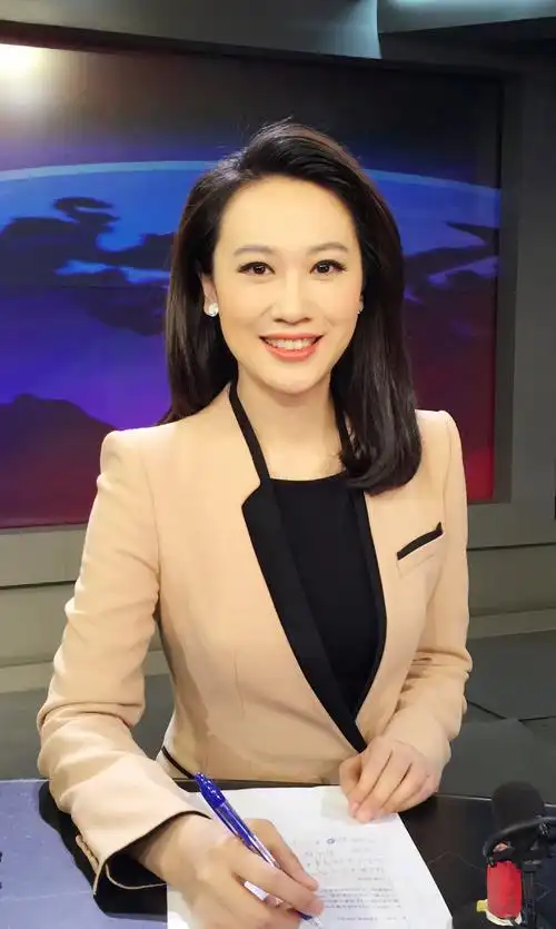 ">石家庄市 /a>, a target="_blank" href="/item/中央电视台/555