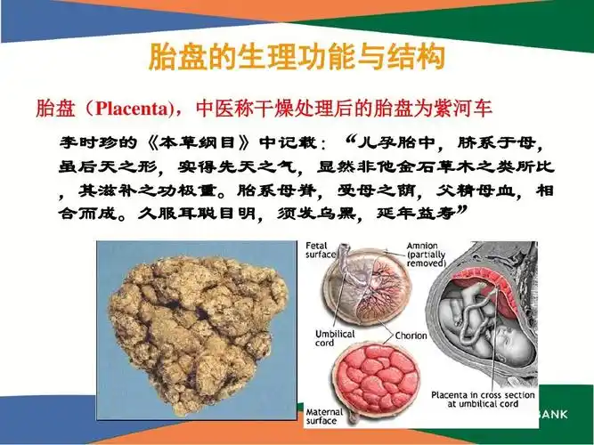 【培训资料】胎盘干细胞ppt