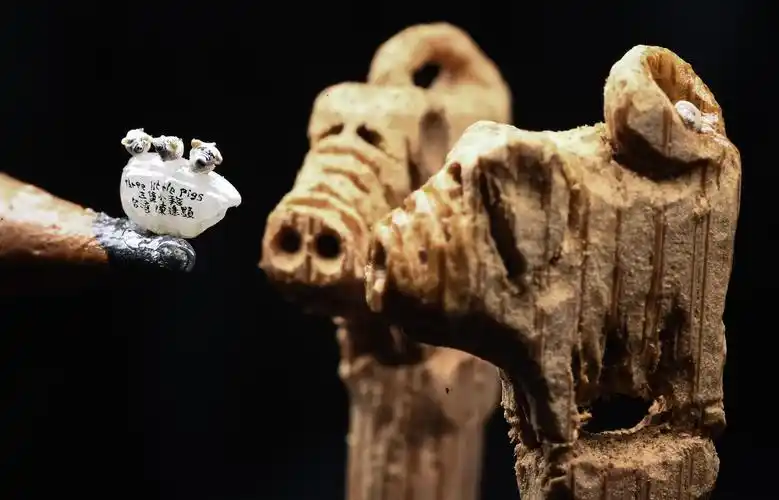 台湾艺术家微雕"三只小猪"迎新年