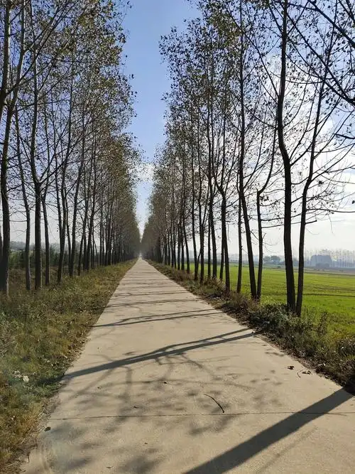 10.25手机拍摄农村风景