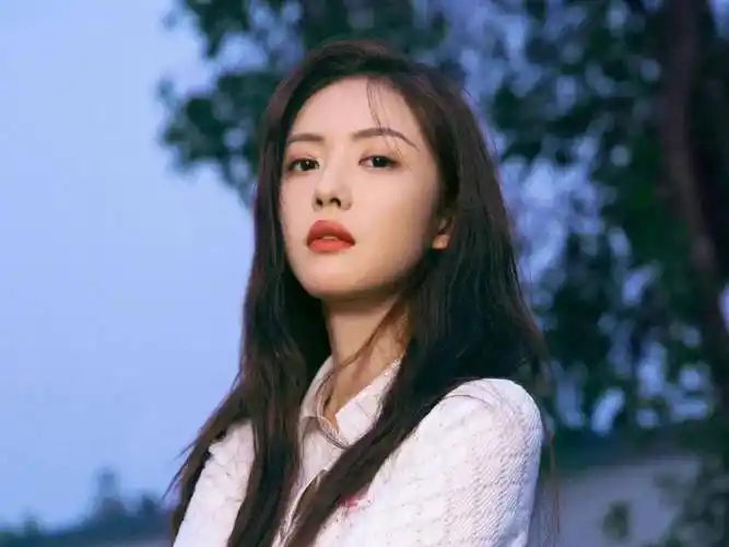 小八卦,华晨宇张碧晨,刘昊然,张艺兴,蔡文静_情况_舆情_团队