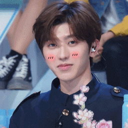 超帅蔡徐坤gif表情包_青春有你2制作人蔡徐坤_搞笑图片_精品库