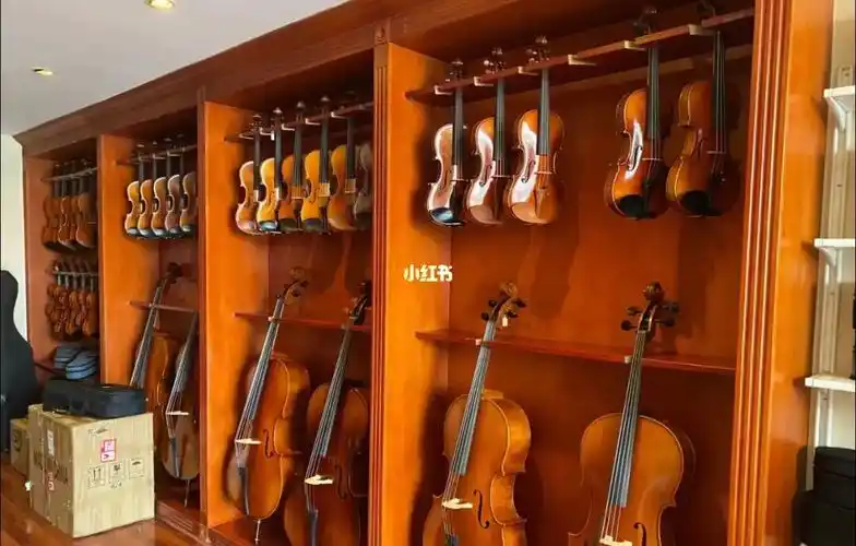 成都的宝子们求推荐小提琴制作工作室