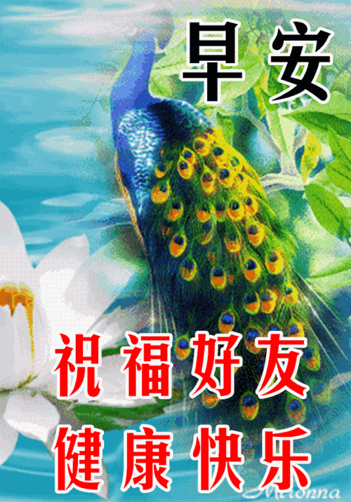 早晨祝福图片早上好问候句子
