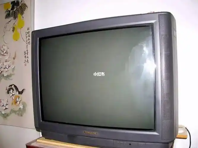 记忆里的好伙伴长虹电视