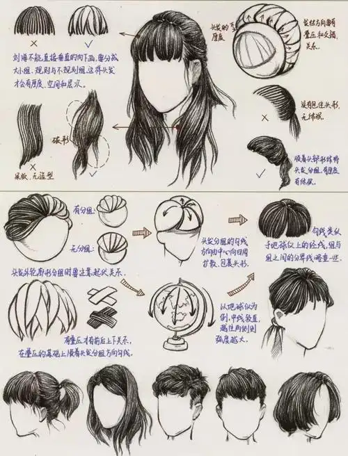 到哪里结束,并且 始终是跟着头部结构的,要学会概括发型