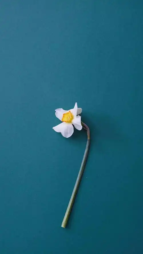 简约个性创意的微信聊天壁纸