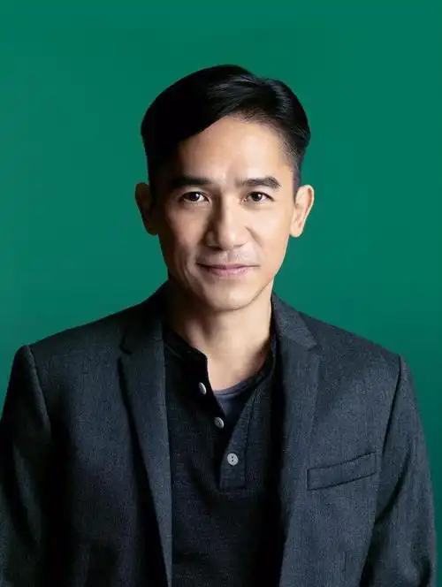 梁朝伟 饰 林贵仁备注简介 私家侦探郑伊健 饰 毕大勇备注简介 设计师