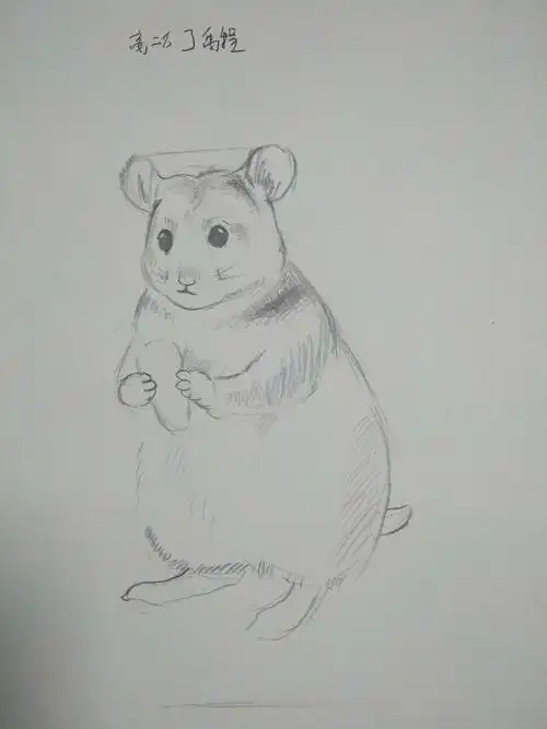 高2020级动物素描习作选