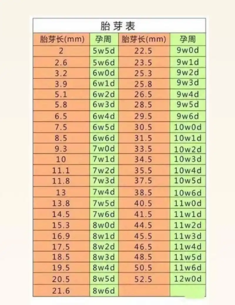 可以看自己的胎芽长度 献上胎芽周期表 自己对照