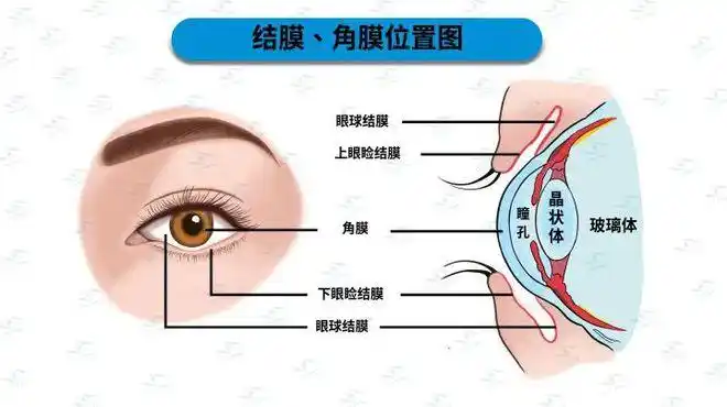 别不当回事,不是「上火」这么简单!