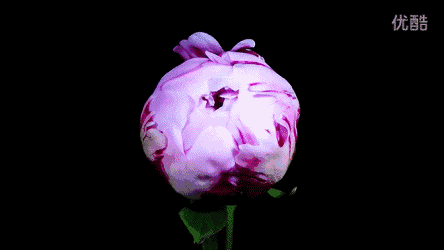 444_250gif 动态图 动图