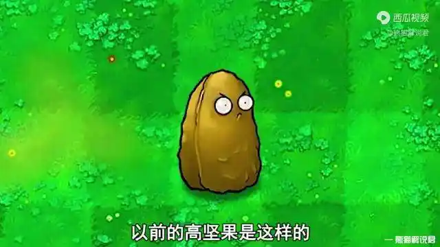 植物大战僵尸原来高坚果也可以进化