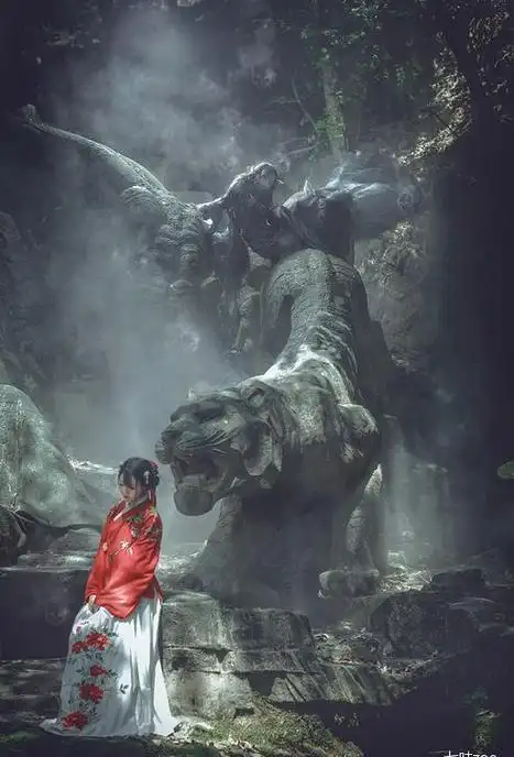 网易首页>网易号>正文申请入驻>492_725竖版 竖屏