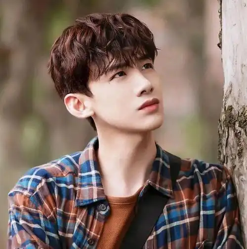 微信头像白敬亭