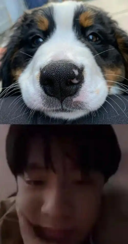 新生代演员刘耀文