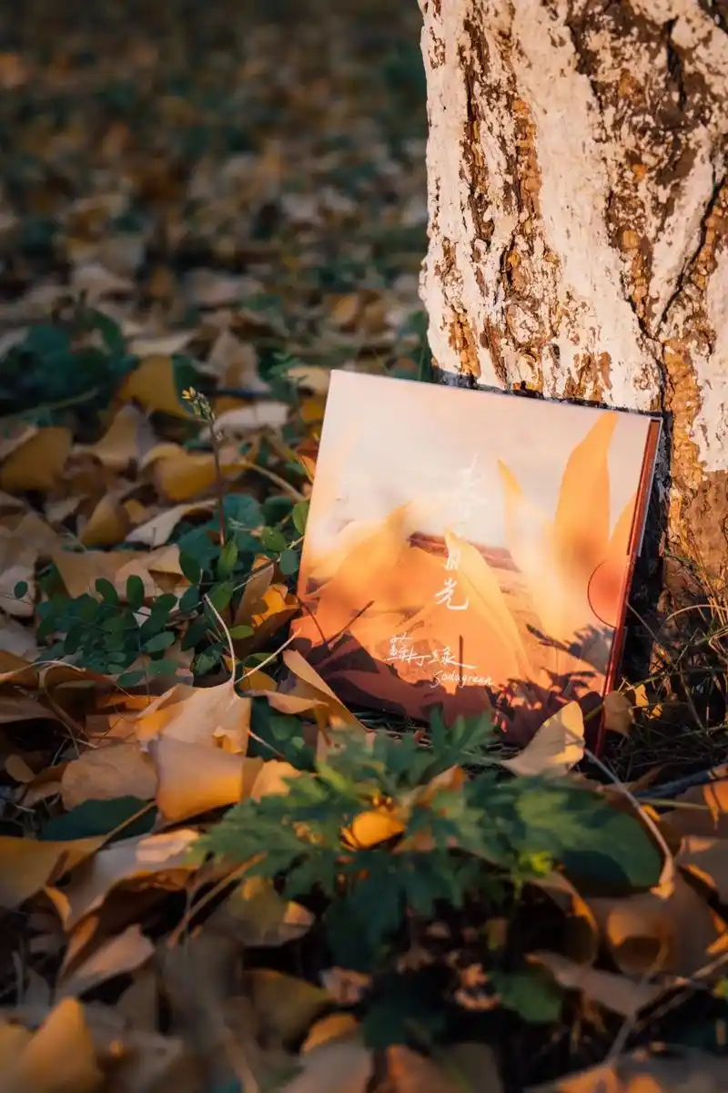 专辑分享 苏打绿《春·日光》2009.四季首专 韦瓦第计划的 - 抖音