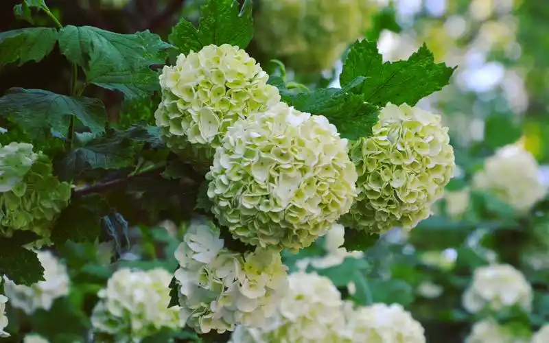 4月结束,好运来临,3星座大胆前进,追梦成功