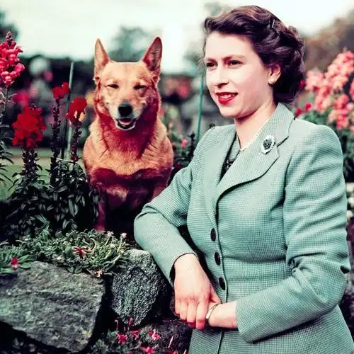 英国女王伊丽莎白二世