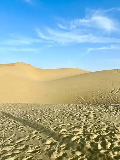 壁纸 沙漠 桌面 690_920 竖版 竖屏 手机