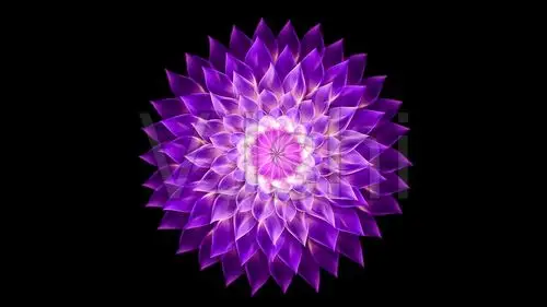 莲花转动_1920x1080_高清视频素材下载(编号:3423358)_舞台背景_vj师