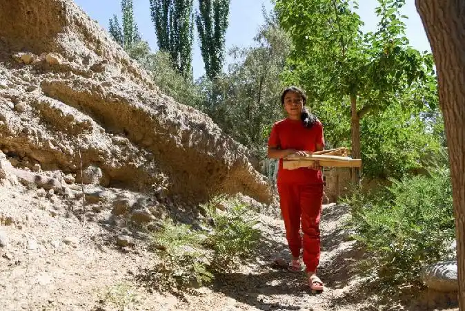 在喀什地区叶城县棋盘乡,古丽孜巴·阿拜克力在搬运柴火(8月18日摄)