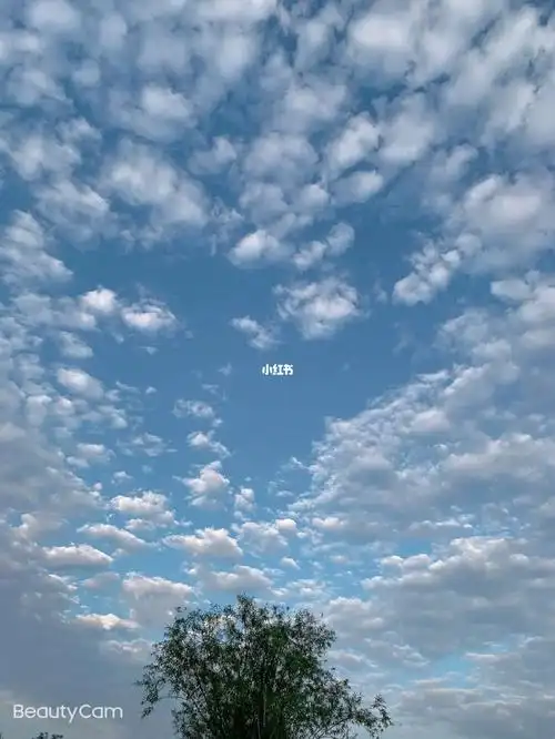 1080_1439竖版 竖屏