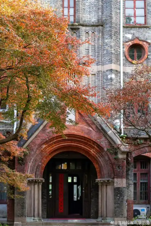 苏州大学浪漫来袭#苏大最美还是秋.摄影师@喜玛拉雅北坡的鱼