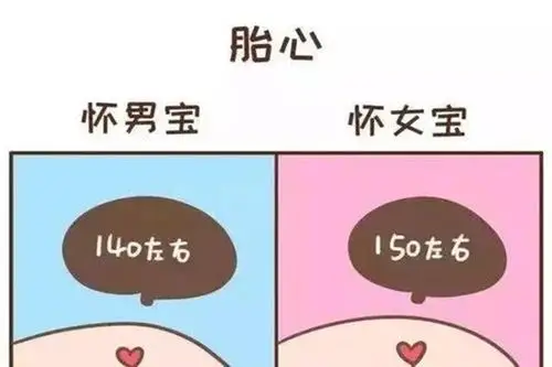 胎心看男女"桃红柳绿"-第2张图片-玫红博客