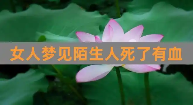 女人梦见陌生人死了有血(女人梦见陌生人死而复活)