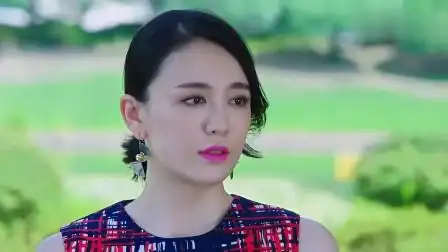 风光大嫁经历了大起大落隋然领悟给宁馨发消息永远别见面