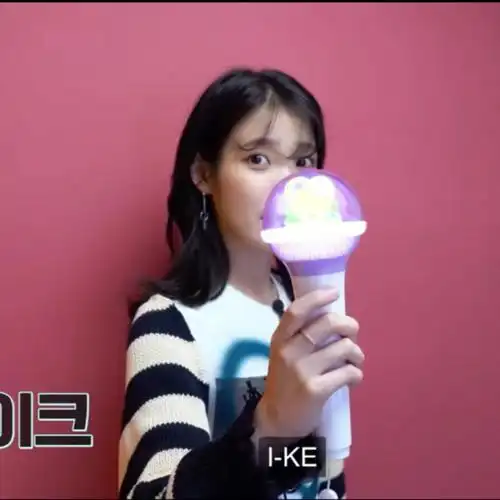 iu三代应援棒实物图好大一个头