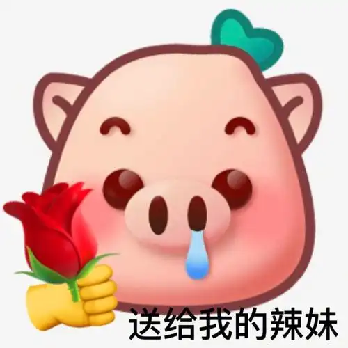 猪头r小红书新出的猪头r表情包