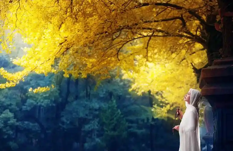 成长不过是一场修炼,喜怒哀乐尝尽,人生才尽显圆满