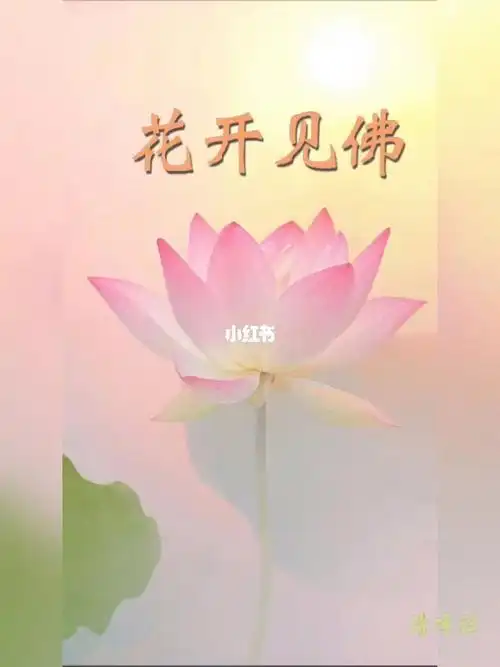 花开见佛#笔记灵感  #我的宅家日常  #我的日常  #日常生活里的快乐