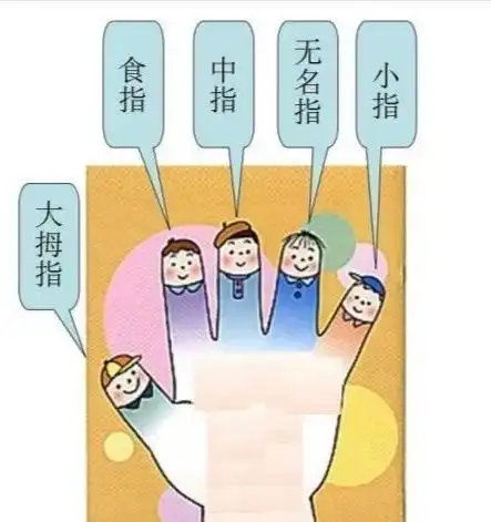 小朋友们,我们的每只手上都有五根手指,它们和我们一样,都有自己的