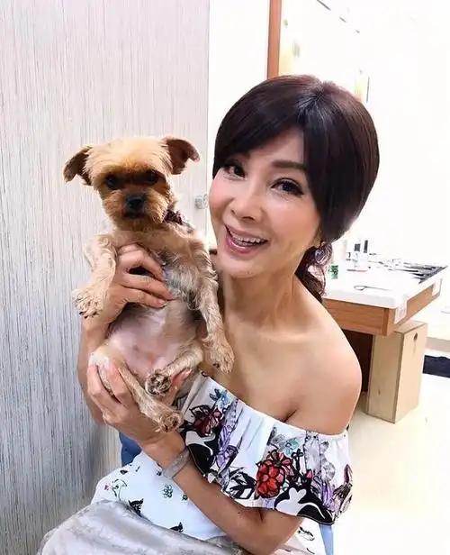 对于和邱泽曝出绯闻,陈美凤直说:"委屈他了!这对我加分也太多了吧!