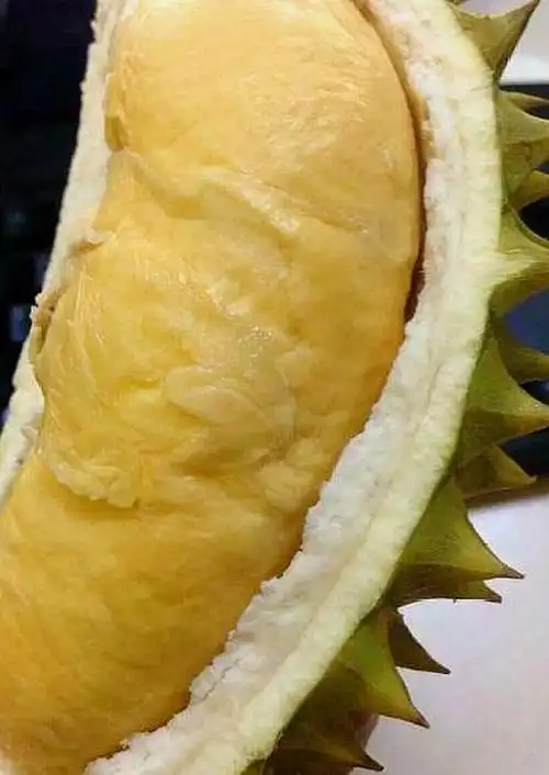 50块钱买了一个小榴莲,老板帮忙切开后,老板娘的脸都黑了