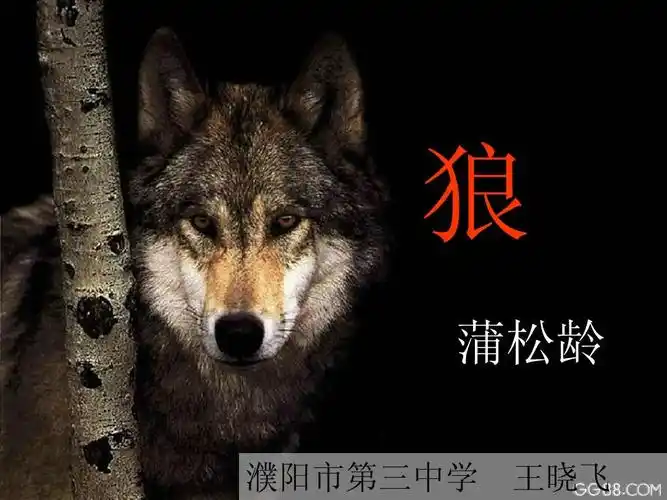 语文七年级下册《狼》教学课件:23页