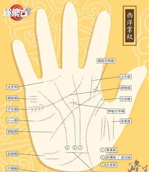 说说用手相看婚姻线的论法婚姻线深长婚姻肯定美满幸福