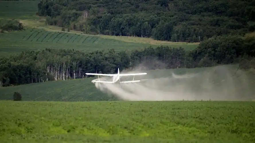 东北航空护林站飞机喷洒农药作业助力农业生产