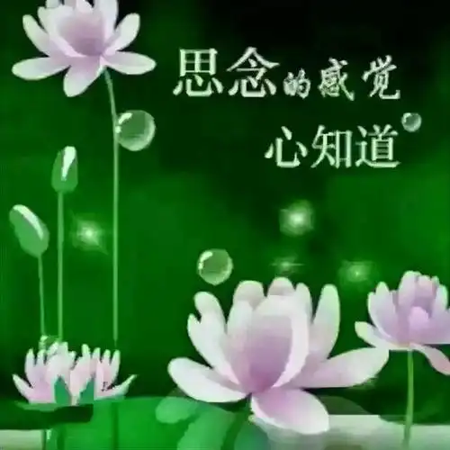 牵挂一个人,是分分秒秒的思念,是日日夜夜的期盼.