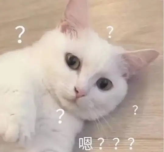 问号呆萌可爱gif动图_动态图_表情包下载_soogif